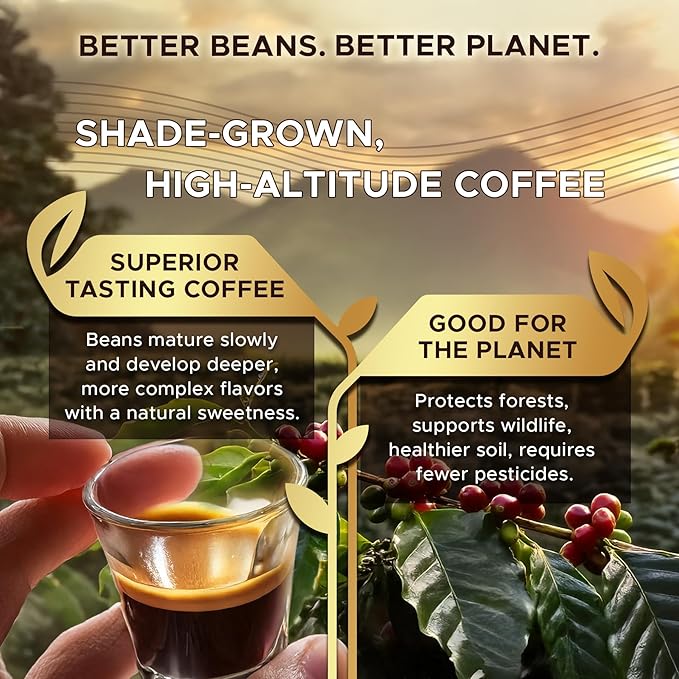 Coffeeza Belgian Chocolate Flavored Espresso Coffee Pods Compatible with Nespresso Original Line Medium Roast Intensity – 7 100% Arabica Aluminium Coffee Capsules 3 Pack - 30 Single Serve Coffee