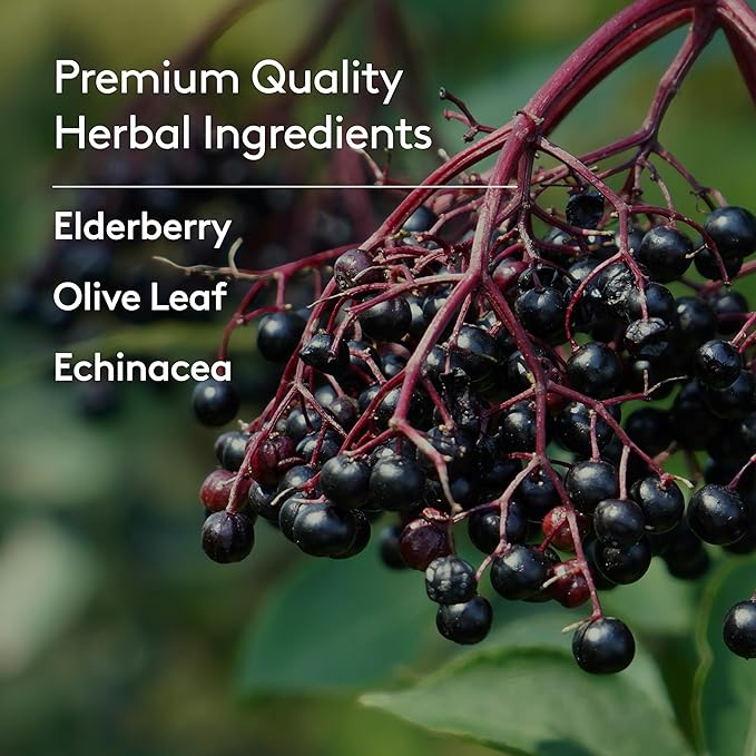 Immune + Wellbeing Syrup Herbal Formula with Elderberry Echinacea &amp Olive Leaf High Absorption Wild Berry Flavor Plant-Based - 6.7 Fl oz (40 Servings)