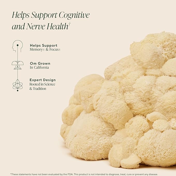 OM MUSHROOM SUPERFOOD Lion’s Mane Mushroom Gummies – USA Grown Organic Lion’s Mane – Supports Memory Focus &amp Cognitive Health – Strawberry Flavor – 30 Servings 60 Count.