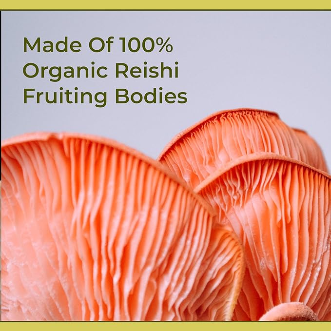 Naturealm Reishi Mushroom Liquid Tincture Supplement – Promotes Calmness Immune Support &amp Sleep Aid Vegan Non-GMO – Organic Fruiting Bodies 1 Month Supply