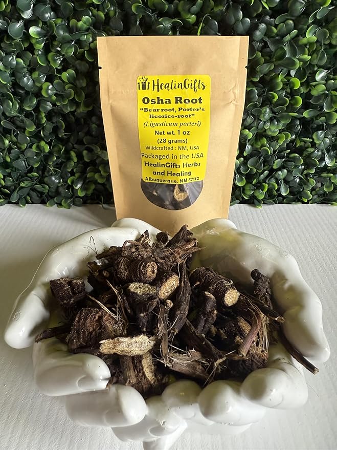 Wildcrafted OSHA Root (Bear Root) – Ligusticum porteri – Fresh Harvested from New Mexico – 1 oz