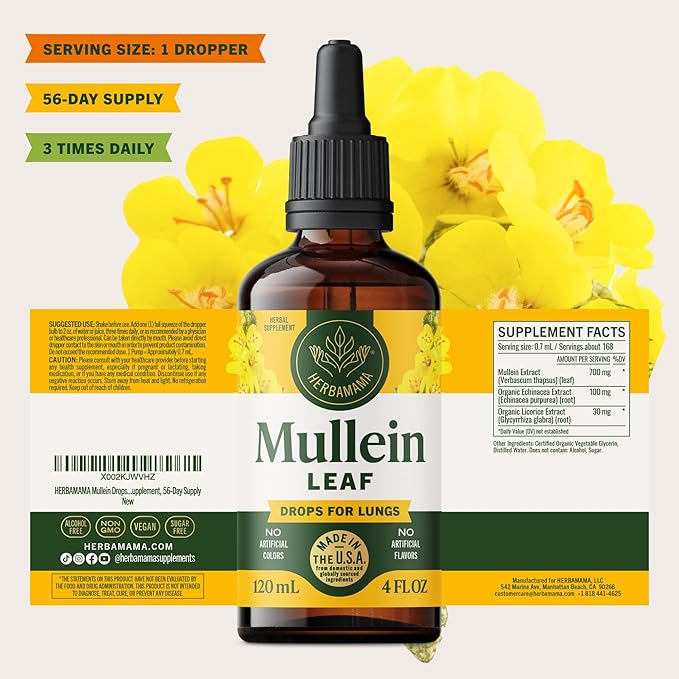 HERBAMAMA Mullein Drops for Lungs - Vegan Lung Cleanse with Mullein Leaf Extract Echinacea Tincture &amp Licorice - Non-GMO Alcohol &amp Sugar-Free Respiratory Support Supplement - 56-Day Supply