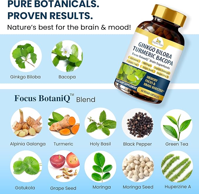 Organic Veda Ginkgo Biloba Turmeric Bacopa Capsules - FocusBotaniQ Memory &amp Brain Supplement - 10 in 1 Cognitive Superfoods Brain Booster Concentration Energy &amp Focus Support - 60 Vegan Cap