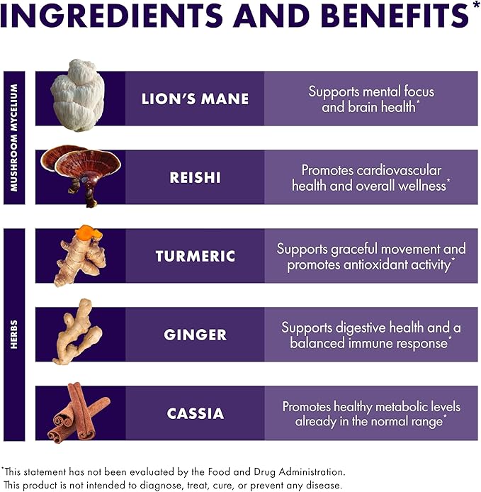 Host Defense MycoBotanicals Brain &amp Body* Powder - Digestive &amp Immune Support Supplement with Lion's Mane &amp Reishi Mushroom - Brain Supplement to Support Memory &amp Focus - 3.5 oz (33 Se