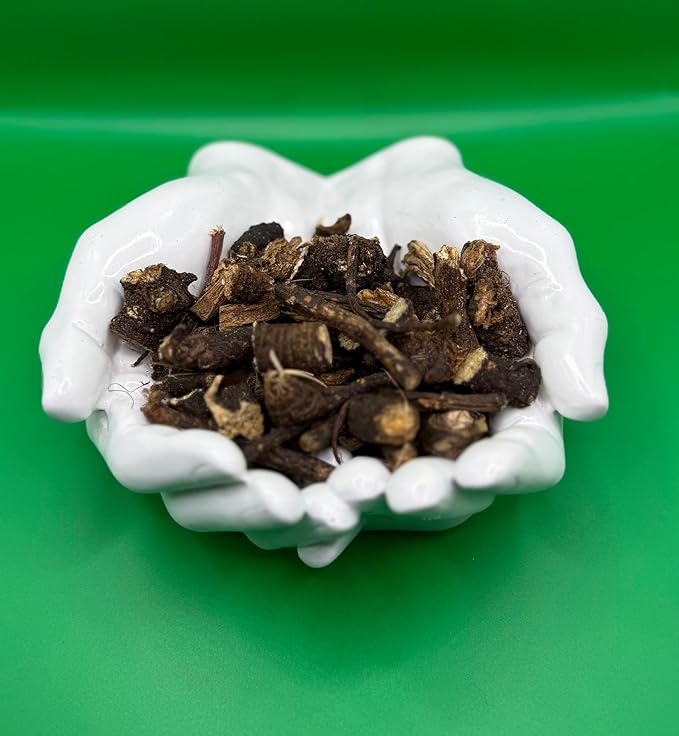 Wildcrafted OSHA Root (Bear Root) – Ligusticum porteri – Fresh Harvested from New Mexico – 1 oz