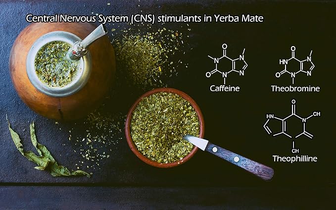 Yerba Mate Tea 1LB (16Oz) HI-CAFFEINE 100% CERTIFIED Organic SUPER-GREEN Yerba Mate | NO Dust | FRESH - NEVER Aged (Ilex Paraguariensis) | Brazilian Rain Forest Grown from U.S. Wellness Naturals | HI-