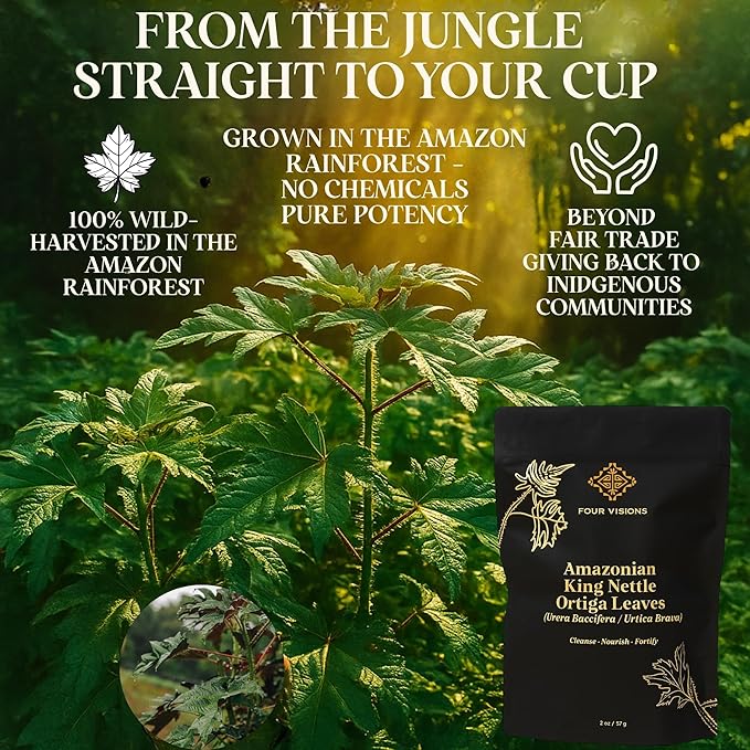 Four Visions Amazonian King Nettle Tea – Wild-Harvested Organic Loose Leaf Ortiga (Urera Baccifera) for Inflammation Hormone Balance Blood Pressure Detox &amp Seasonal Allergy Support