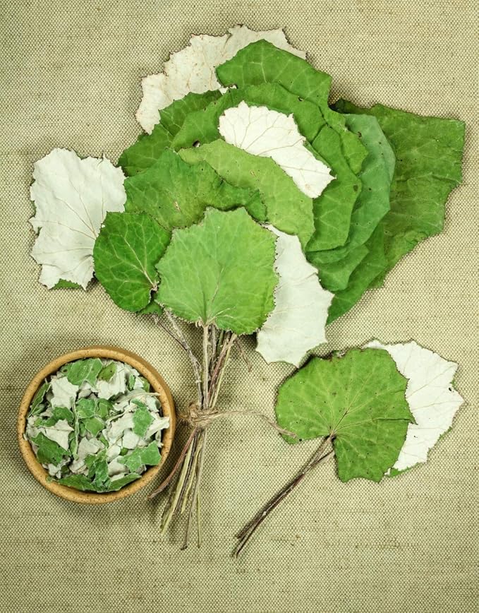Health Embassy Coltsfoot Leaf | Tussilago farfara L | Herbal Tea (100g)