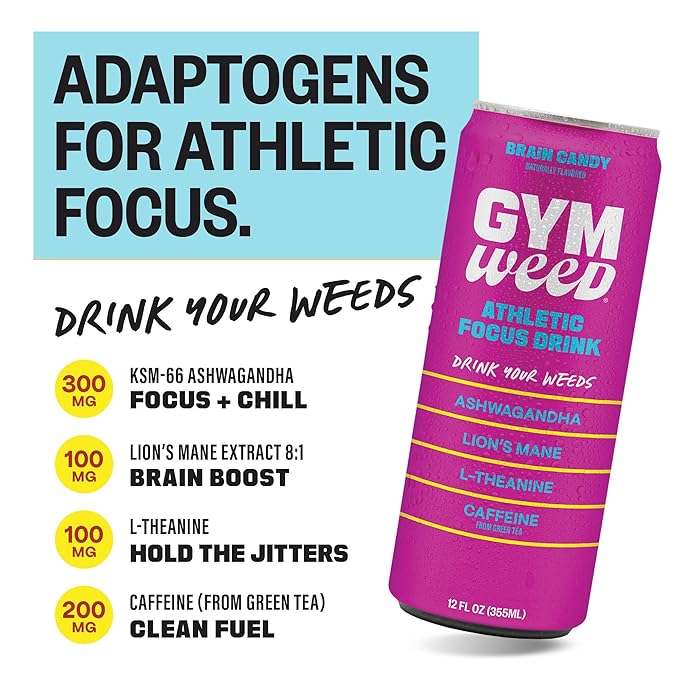 GYM WEED Athletic Focus Drink with KSM-66 Ashwagandha Lion's Mane Mushroom L-Theanine 200mg Green Tea Caffeine with Natural Sweeteners Brain Candy Flavor 12 Pack