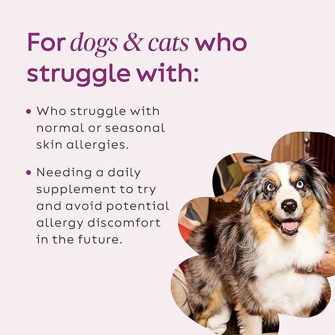Super Snouts Super Shrooms Mushroom Immune Support Supplement for Dogs and Cats 2.64 oz - Made in USA Organic Non-GMO Immune Health for Strong Immunity 7 Mushroom Blend Powder