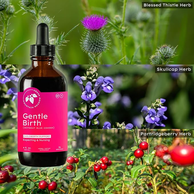 Mountain Meadow Herbs Gentle Birth for Birth Prep/Labor Prep Fast Acting Liquid Herbal Extract for Childbirth Support w/o Blue Cohosh - 4oz