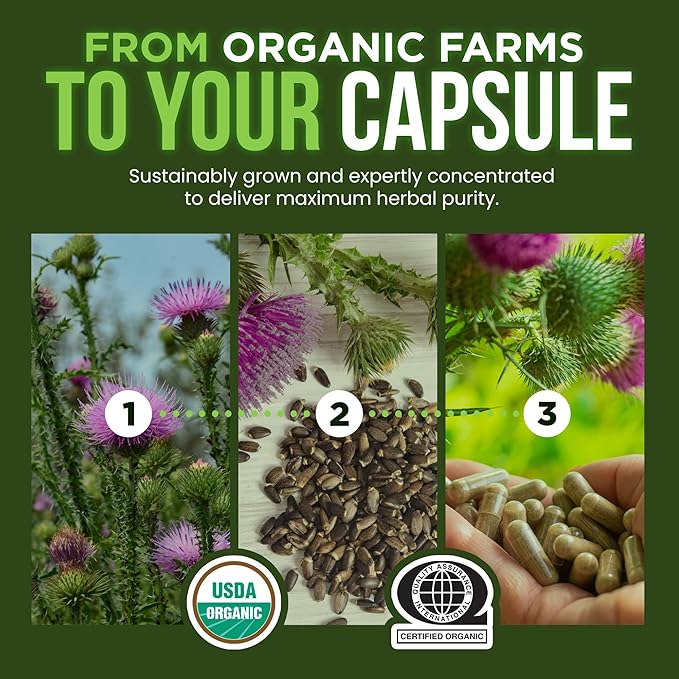 OmniBiotics Organic Milk Thistle Supplement 1500mg – 4X Concentrated Extract with Silymarin – High Potency Liver Detox &amp Support – 120 Vegan Capsules