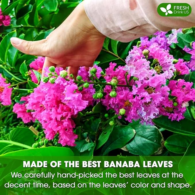 FreshDrinkUS Premium 100 Banaba Tea Bags 100% Natural &amp Pure from Banaba Leaves. Loose Leaf Banaba Herbal Tea. No Sugar No Caffeine No Gluten Vegan.