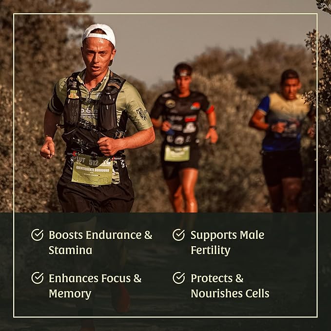 Black Maca Extract 50ml – Andean Plant-Based Ingredient for Endurance Focus &amp Vitality | Traditionally Used for Generations | Vegan Non-GMO Clean Maca Root Drops – 60 Servings