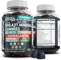 Terramineral Shilajit Gummies with Irish Sea Moss Tongkat Ali Ashwagandha Lion's Mane MACA Panax Ginseng Rhodiola &amp Cordyceps by Clean Nutra (1)
