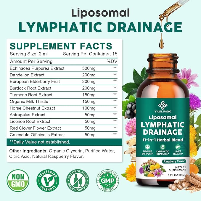 Lymphatic Drainage Drops - 11 in 1 Lymphatic Supplement for Immune Lymph System &amp Liver Detox - with Echinacea Horse Chestnut Dandelion Elderberry &amp Burdock - Raspberry Flavor Vegan 2 Fl