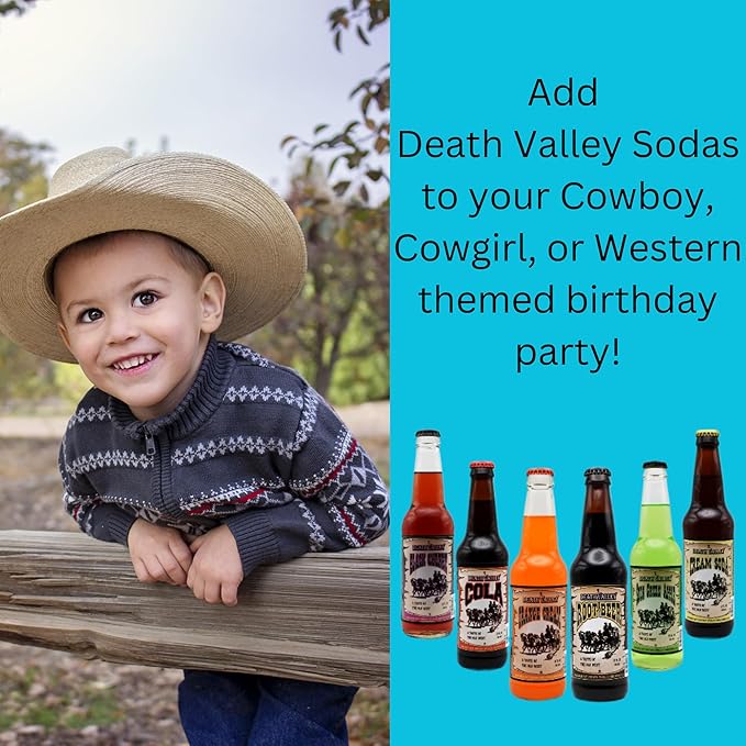 Generic Death Valley Soda | 12 Pack of Our Best Most Popular Soda Flavors | Delicious Flavored Soda Pop with Real Cane Sugar | 12 oz Glass Bottles in a Mixed 12 Pack Sampler with Crazy Soda Pop Bottle
