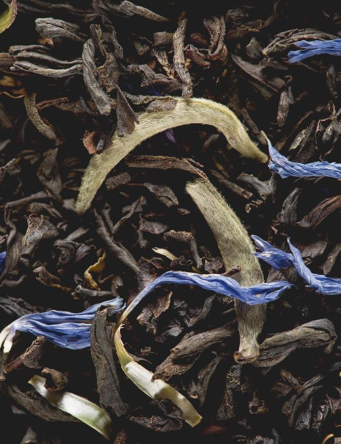 Dammann Freres Sachets Earl Grey Yin Zhen Tea Bags Premium Gourmet French Black Tea Blend Bergamot Individually Wrapped 24 Count (Single Pack)