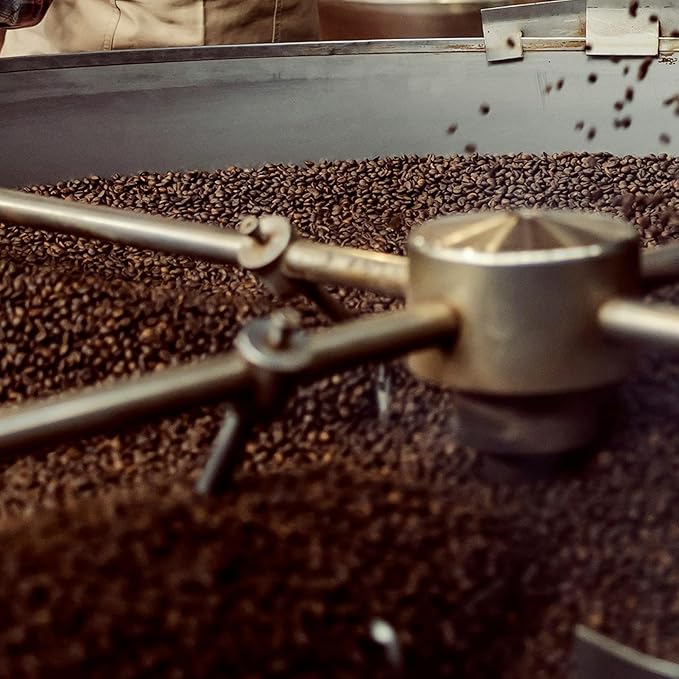 Coffee Bean Direct City Roast Brazilian Santos Whole Bean Coffee Medium Roast 5 Pound Bag (Pack of 1)