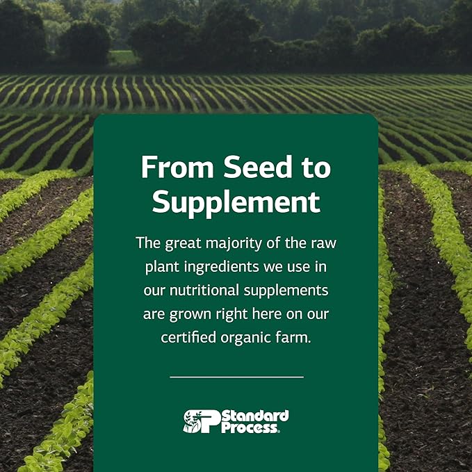 Standard Process Cataplex B-GF - Supports Nervous System Health - B Vitamins for Energy &amp Heart Support - Aids Energy During Physical Activity - Gluten-Free Non-Soy &amp Non-Dairy - 360 Tablets
