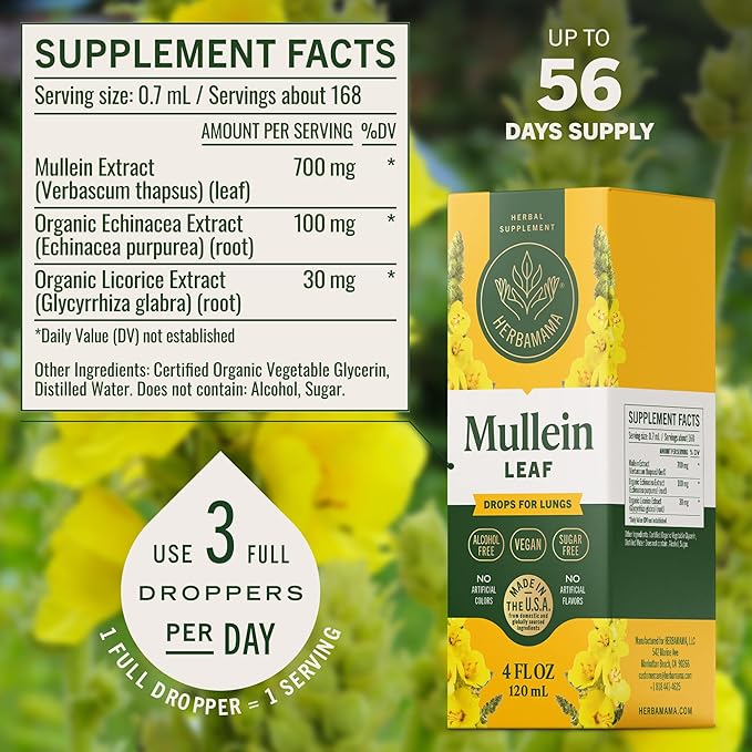 HERBAMAMA Mullein Drops for Lungs - Vegan Lung Cleanse with Mullein Leaf Extract Echinacea Tincture &amp Licorice - Non-GMO Alcohol &amp Sugar-Free Respiratory Support Supplement - 56-Day Supply