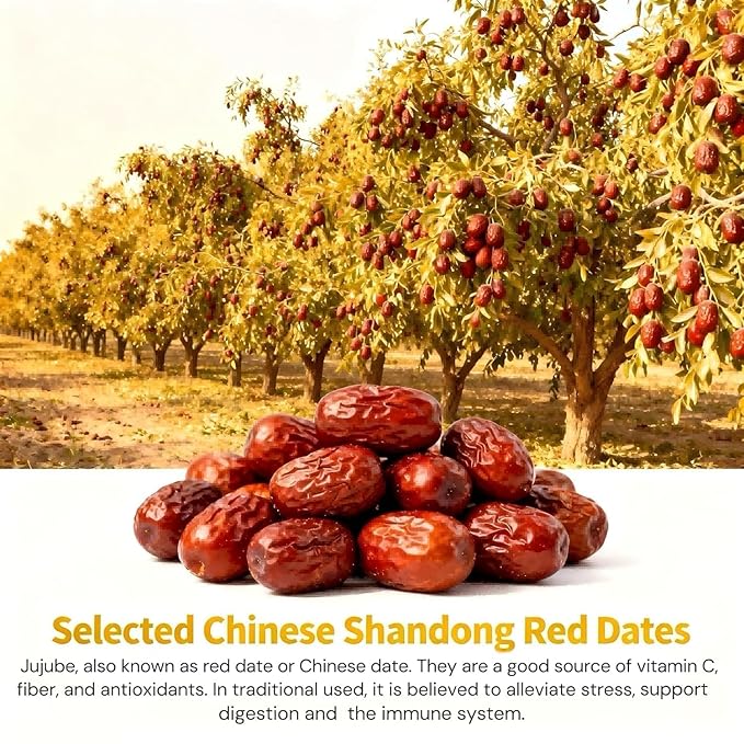 Dandelion Root &amp Goji berry Jujube Dates Tea- Detox Tea for Kidney &amp Liver cleanse detox &amp repair-Dandelion Wolfberry TeaChinese Herbal Tea for WellnessCaffeine FreeOrganic(30Tea Bags/