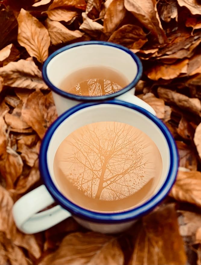 Premium 100% Wild Harvested Chaga - 30 Tea Bags (Chaga Cinnamon)