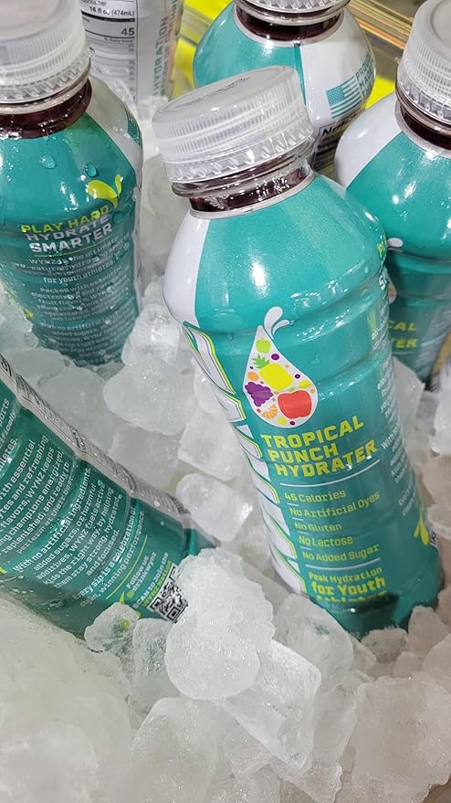 12pack - Wynz Tropical Punch Hydrater Youth Hydration Sports Drink 30.51% Fruit Juice Coconut Water Monk Fruit &amp Filtered Water 16 oz Single Serve Bottle