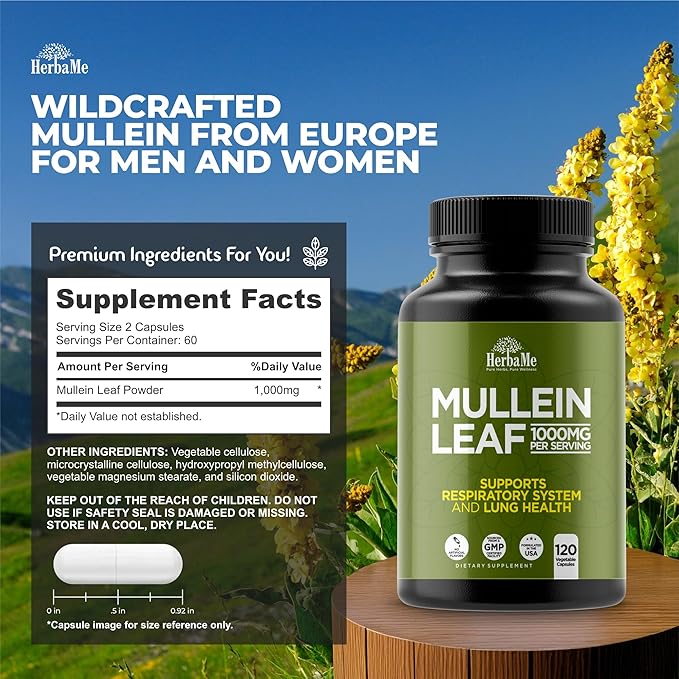 Mullein Leaf 1000mg 120 Capsules Lung Detox for Smokers Lung Cleanse Supplement Supports Respiratory Function Health Promotes Mucous Membranes | Ear Health Mucus Relief Herbal Pills
