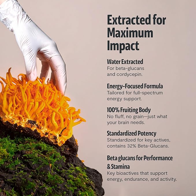 FreshCap Mushrooms Cordyceps Mushroom Powder 10000mg - Mushroom Extract Immunity Supplement Ayurveda Nootropic Mushroom Supplements (60 Servings)