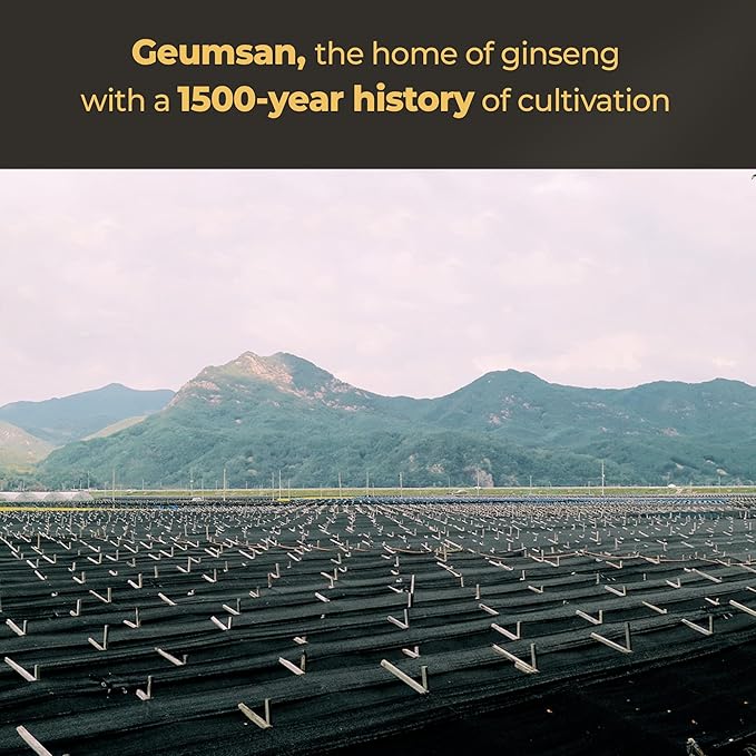 GeumHeuk Korean Black Ginseng Extract Every Ginseng Plus. 10g X 30 Stick Pouches. Immune Support Energy Booster Fatigue Recovery Mental Performance. Patented Method.
