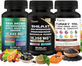 ShilajitSea Moss Black Seed OilMushroom &amp Herb Supplement with Lions Mane Turkey Tail Reishi Cordyceps Chaga Ashwagandha Ginger Rhodiola Rosea &amp Panax GinsengAll in One Supplement.