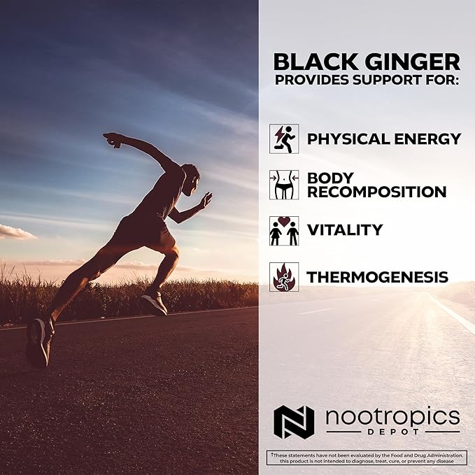 Nootropics Depot Black Ginger Extract Capsules | 10% 57-dimethoxyflavone | 60 Count