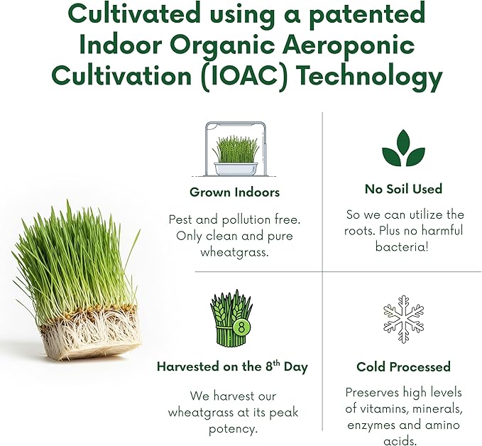 Organic Wheatgrass Powder – 100% Whole Plant with Leaves &amp Roots | Cold-Processed for Nutrient Retention 100+ Vitamins Amino Acids &amp Enzymes | Non-GMO &amp Soil-Free | 66 Travel-Ready Sache