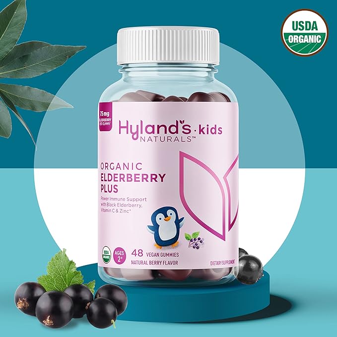 Hyland's Kids Organic Elderberry Plus Gummies Organic Black Elderberry with ZINC and Vitamin C Immune Support for Children 48 Vegan Gummies (Pack of 2)