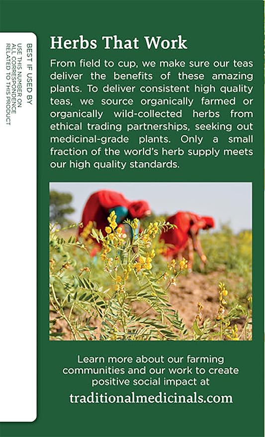 Traditional Medicinals Organic Fennel Herbal Tea Promotes Digestive Health (Pack of 6) - 96 Tea Bags Total