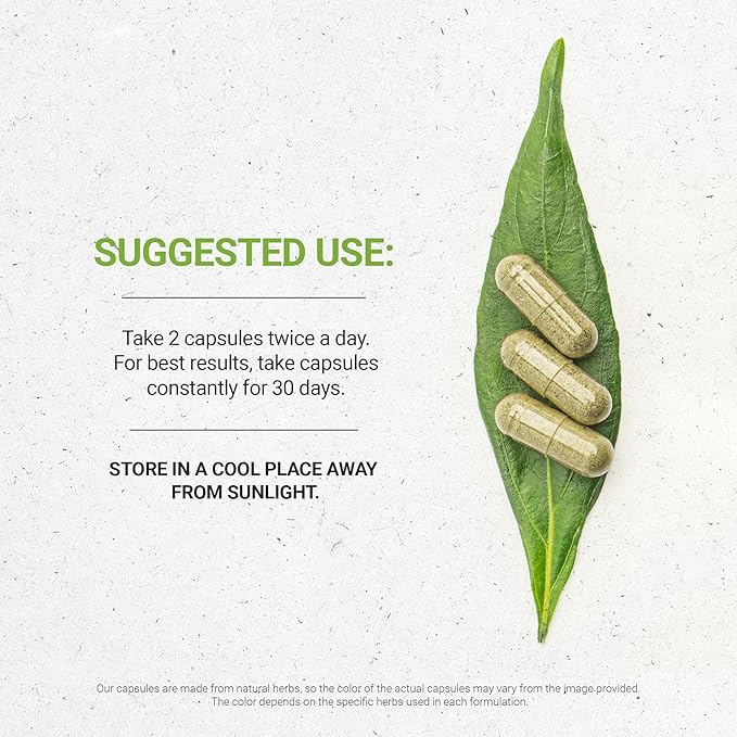 Secrets of the Tribe Star Anise 60 Capsules 1000 mg USDA Organic Star Anise (Illicium verum) Dried Seed (60 Capsules)