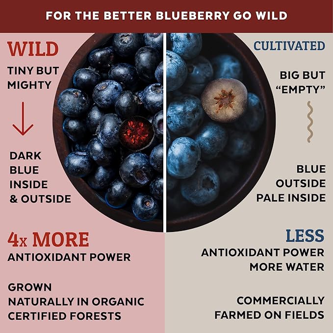 Barley Grass Juice Powder Atlantic Dulse and Wild Blueberry Powder for Your Perfect Detox Smoothie Premium Quality and Organic Certified