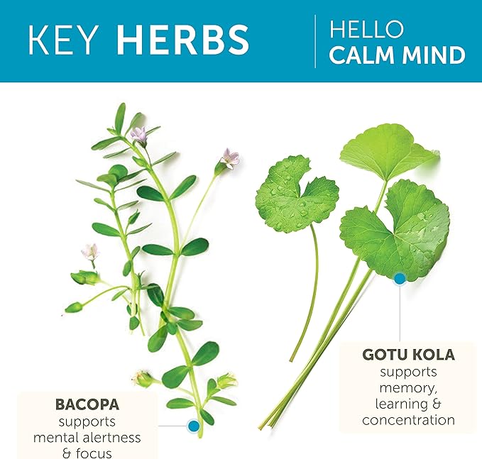Himalaya Hello Calm Mind Herbal Supplement with Bacopa L-Theanine Gotu Kola Supports Concentration &amp Focus Cognitive Function Clear Thinking Relaxation Vegan Gluten Free 60 Capsules