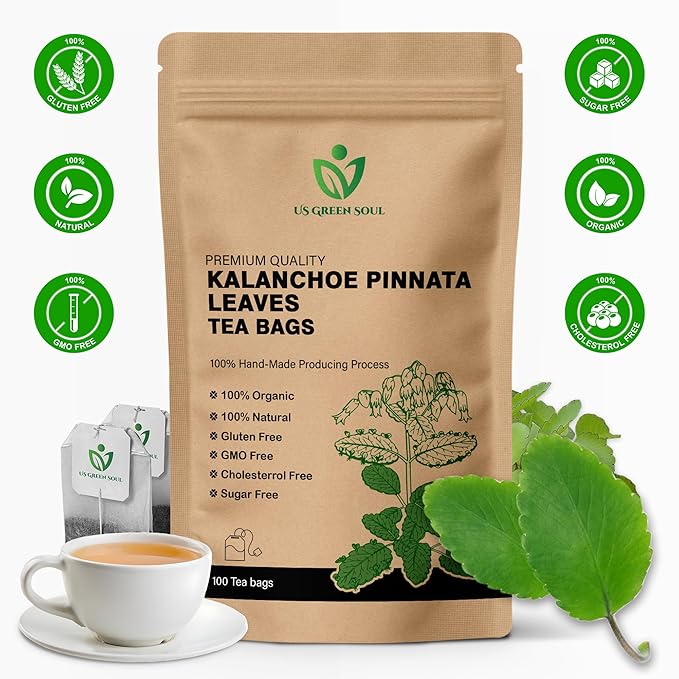 Kalanchoe Pinnata Leaves Tea Bags 50 Tea Bags Healthy Organic Leaves Herbal Tea