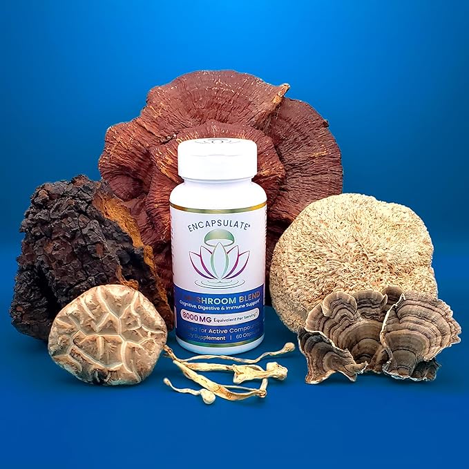 ENCAPSULATE 6 Mushroom Blend – Reishi Chaga Turkey Tail Cordyceps Lion’s Mane &amp Shiitake 8:1 Mushroom Extract – Nootropic &amp Adaptogen Mushroom Supplement for Gut Brain &amp Immune Suppor