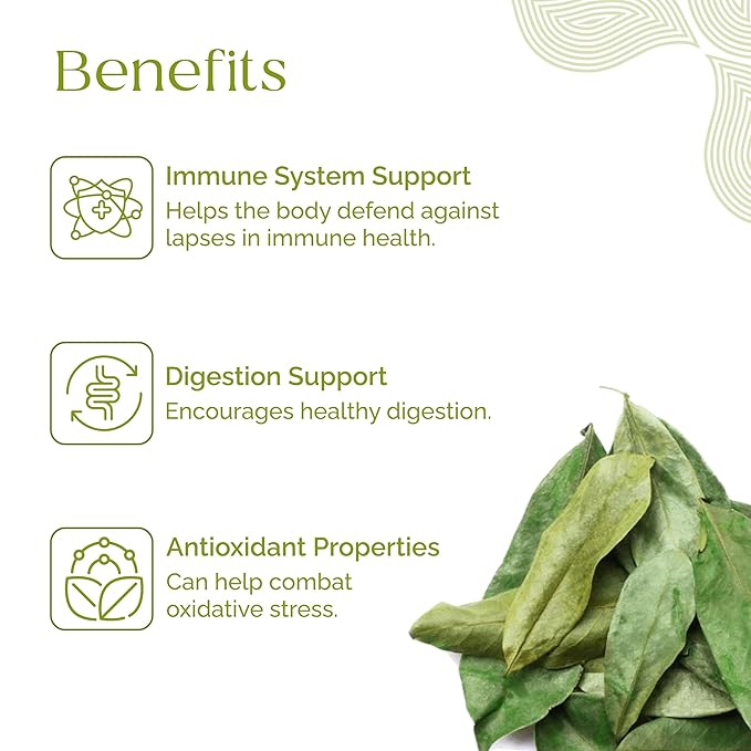 Organic Pharmacist Dried Soursop Leaves Graviola Leaf Guanabana Guyabano Used for Tea and Extract Soursop Bitters for Tea 60G 175+ Whole Leaves