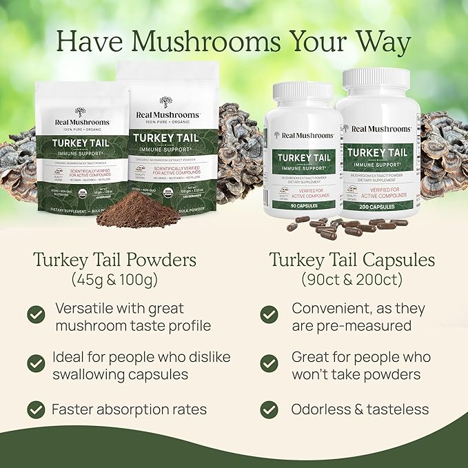 Real Mushrooms Turkey Tail Mushroom Powder – Organic Mushroom Extract for Daily Wellness Gut Harmony &amp Energy Support with Beta Glucans – Vegan Non-GMO 45 Servings Functional Supplement