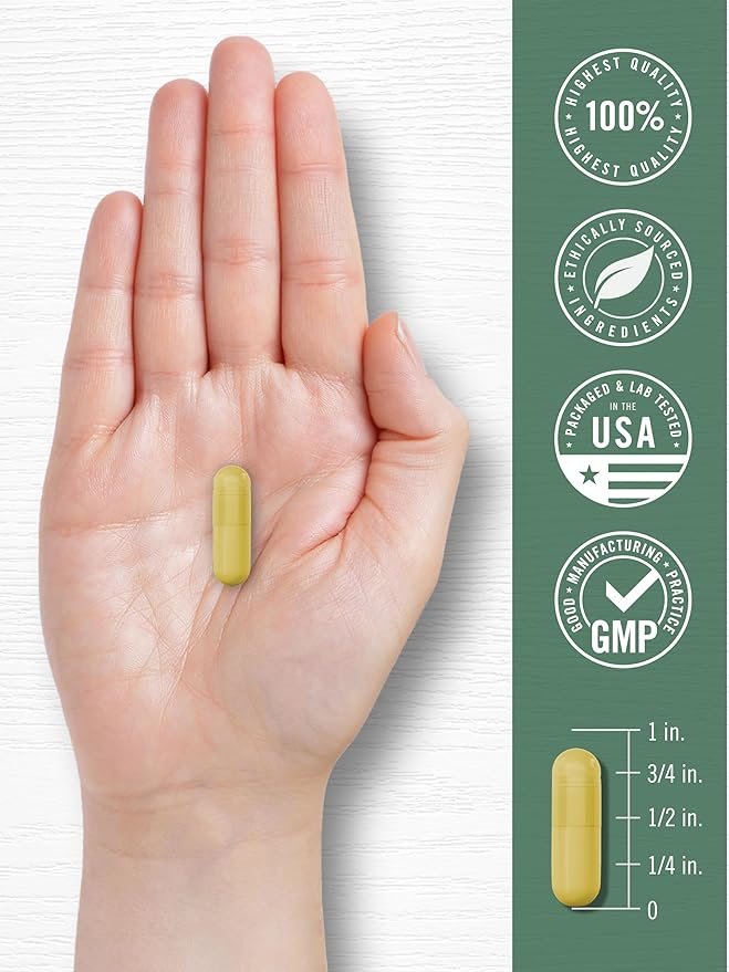 Carlyle Goldenseal Root Capsules | 200 Count | Traditional Herb Supplement | Non-GMO Gluten Free