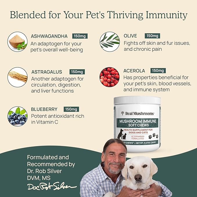 Real Mushroom Immune Pet Chews – For Daily Digestive &amp Immune Health – Mushrooms for Dogs &amp Cats Functional Treat – Mushroom Supplement for Dogs &amp Cats – 1 to 4 Chews For All Breeds &amp