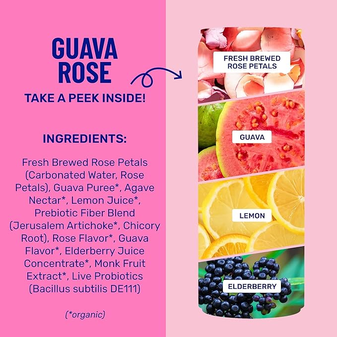 wildwonder Sparkling Probiotic Drink 12pk for Gut Health &amp Immune Support Guava Rose 5 G Prebiotic Fiber Live Probiotics Organic Vegan Low Sugar 12 Pack 12 Oz Can As Seen on Shark Tank