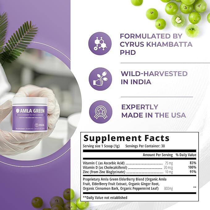 Amla Powder &amp Immunity Blend Superfood Supplement with Elderberry 20x Ultra Concentrated Amla Immune Support Made with Ginger Cinnamon Peppermint Indian Gooseberries Immunity 90 Servings