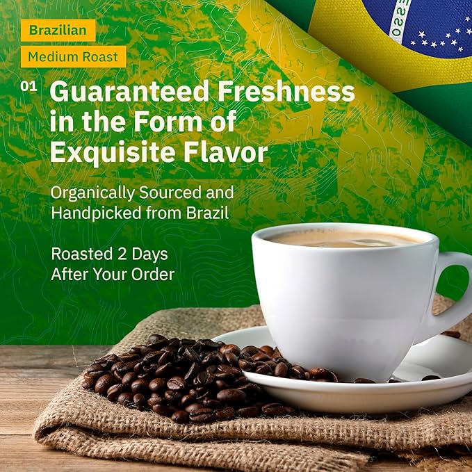 Brazilian Santos Medium Roast Coffee Beans - 2LB Single Origin Arabica Specialty Coffee Espresso Fine Grind Freshly Roasted to Order Fair Trade