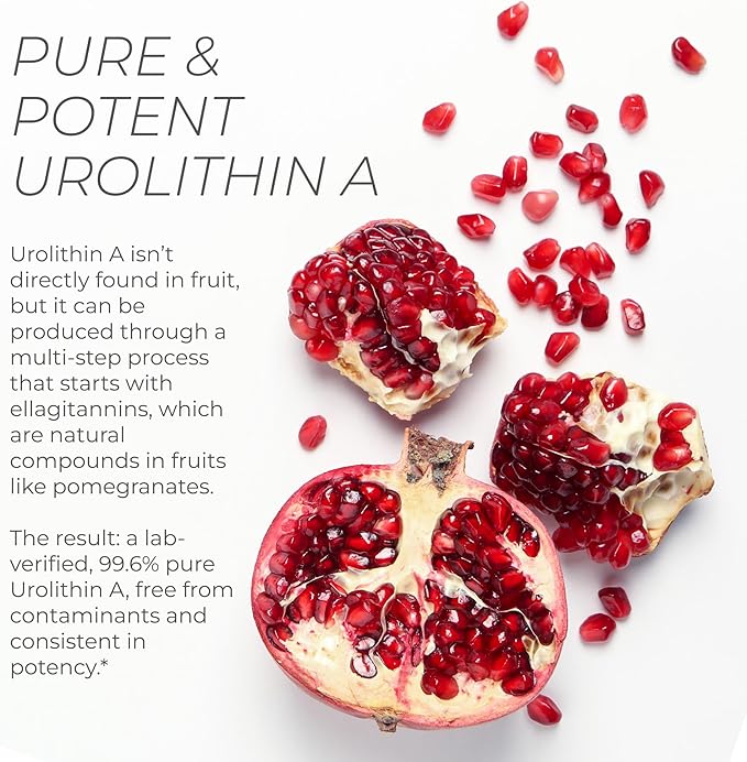 Neurogan Urolithin A PRO Capsules - 1000mg 120 Ct - Advanced Cellular Health Post Biotic Supplements - Ultra Micronized Urolithin A Supplement Sourced from Pomegranate Extract