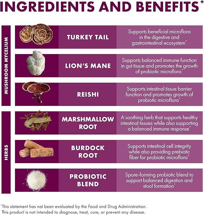 Host Defense MycoBotanicals Microbiome* Powder - Digestive &amp Immune Health Support Supplement - Gut Health Supplement with Turkey Tail Lion's Mane &amp Reishi - 3.5 oz (33 Servings)*